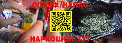 ешки Абакан