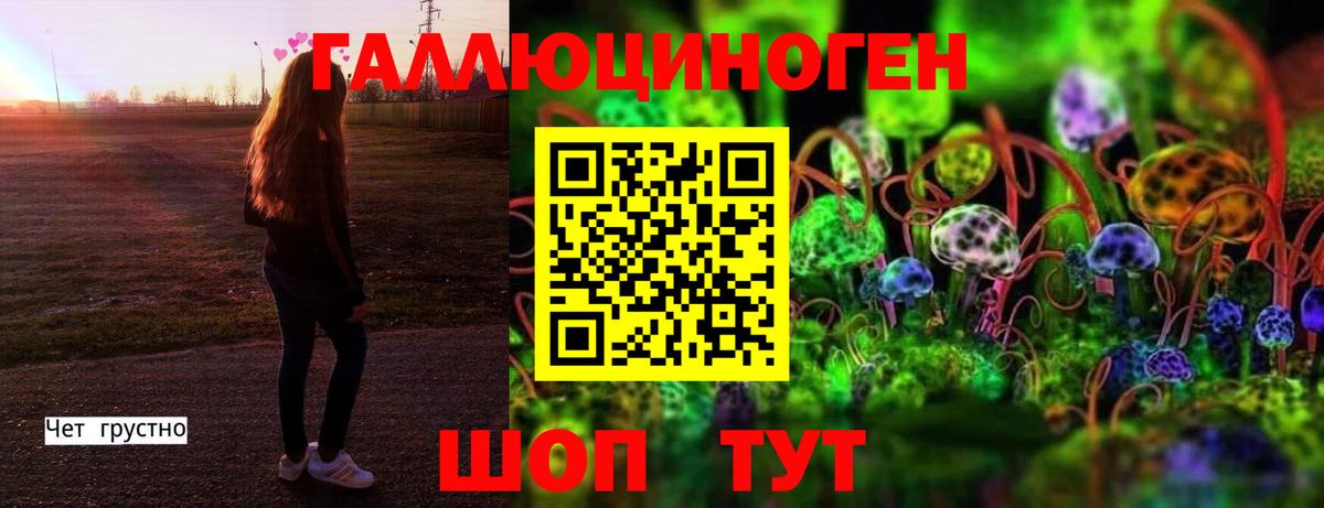 Галлюциногенные грибы MAGIC MUSHROOMS  Вход с VPN  Алушта 